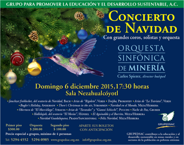 2015 concierto navideñoa_750x593